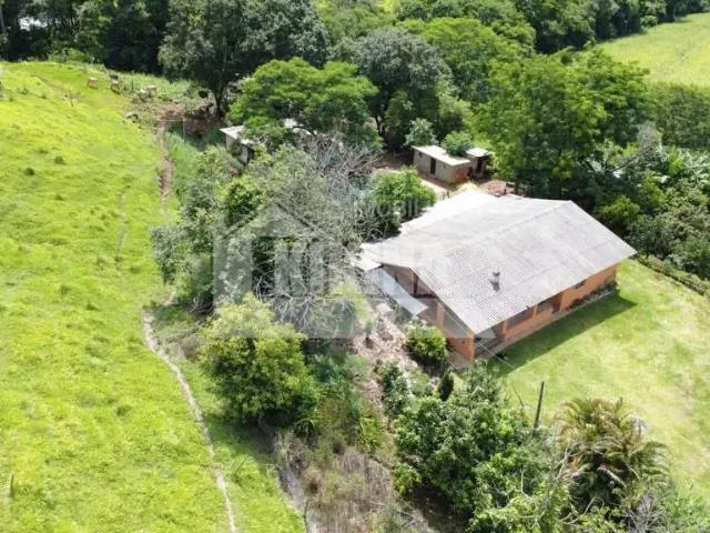 Sítio / Chácara para Venda em Cândido de Abreu/PR Zona Rural