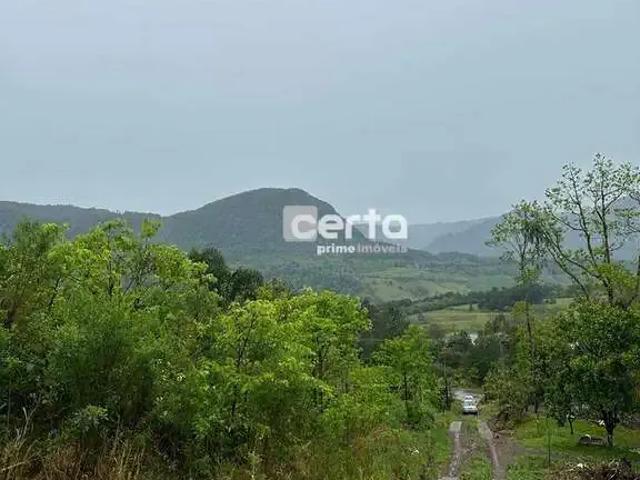Sítio / Chácara para Venda em Canela/RS Eugênio Ferreira