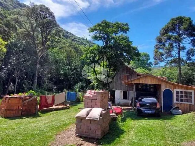 Sítio / Chácara para Venda em Canela/RS Zona Rural 2 Quartos