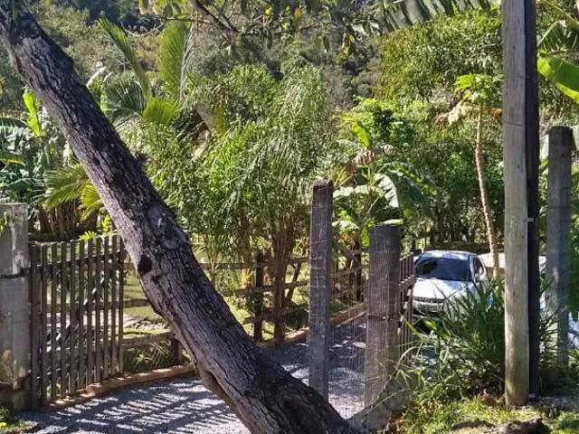 Sítio / Chácara para Venda em Canelinha/SC Moura 1 Quartos