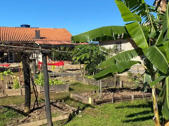 Sítio / Chácara para Venda em Canelinha/SC Moura 2 Quartos