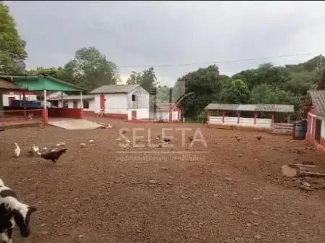Sítio / Chácara para Venda em Capanema/PR Zona Rural