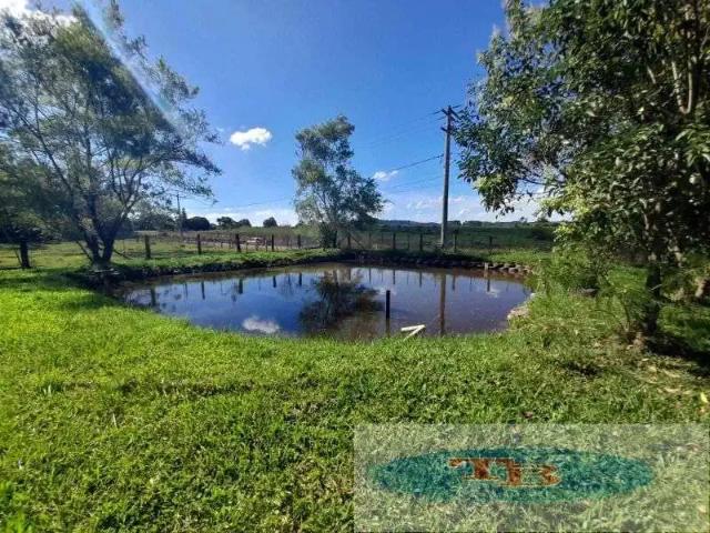 Sítio / Chácara para Venda em Capela de Santana/RS Boqueirão