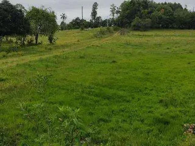 Sítio / Chácara para Venda em Capela de Santana/RS Centro 3 Quartos