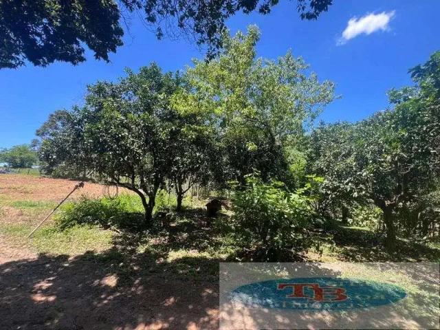 Sítio / Chácara para Venda em Capela de Santana/RS Centro