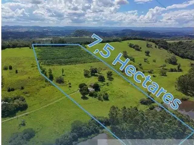 Sítio / Chácara para Venda em Capela de Santana/RS Progresso