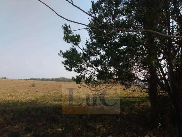 Sítio / Chácara para Venda em Capela do Alto/SP Centro