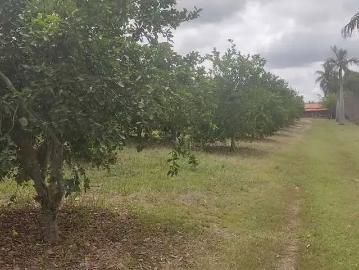 Sítio / Chácara para Venda em Capela do Alto/SP Cercadinho 3 Quartos