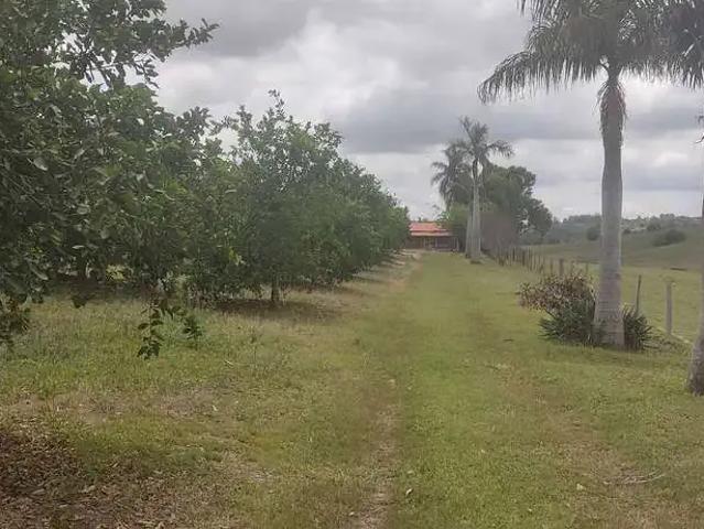 Sítio / Chácara para Venda em Capela do Alto/SP Cercadinho 3 Quartos