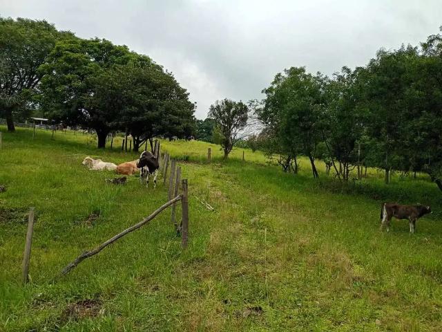 Sítio / Chácara para Venda em Capela do Alto/SP Itarassu 4 Quartos