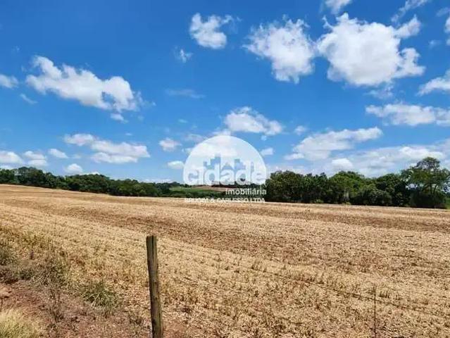 Sítio / Chácara para Venda em Capitão Leônidas Marques/PR Vista Alegre