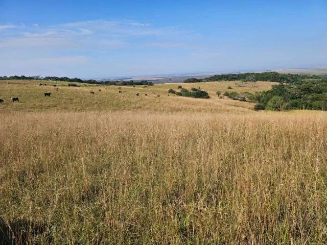 Sítio / Chácara para Venda em Capivari do Sul/RS Centro 1 Quartos