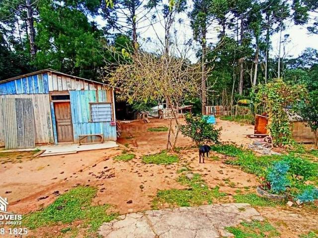 Sítio / Chácara para Venda em Carambeí/PR Catanduva 2 Quartos