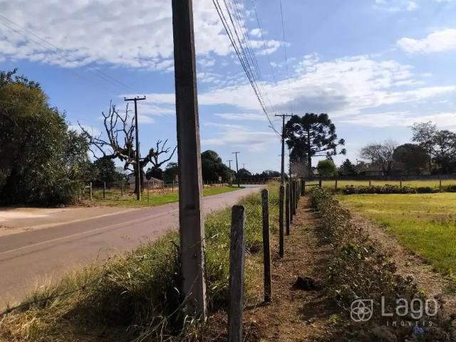 Sítio / Chácara para Venda em Carambeí/PR Centro 5 Quartos