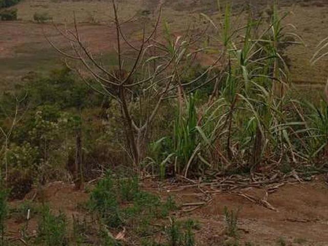 Sítio / Chácara para Venda em Caranaíba/MG Zona Rural 3 Quartos