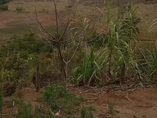 Sítio / Chácara para Venda em Caranaíba/MG Zona Rural 3 Quartos