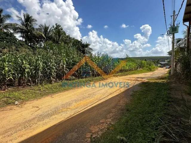 Sítio / Chácara para Venda em Caratinga/MG Rodoviários