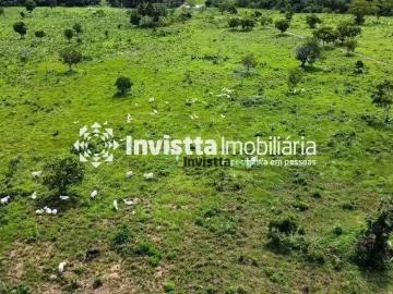 Carolina, Tocantins
