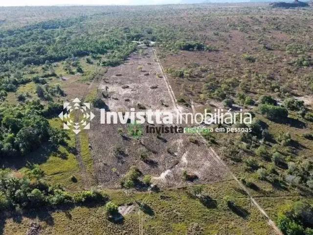Sítio / Chácara para Venda em Carolina/MA Alto da Colina