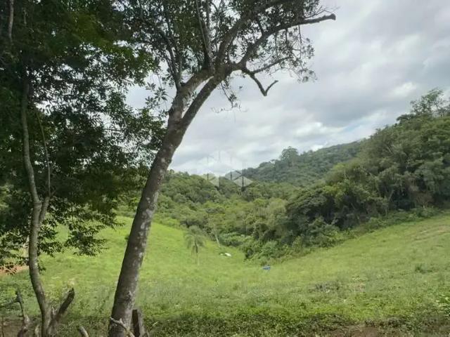 Sítio / Chácara para Venda em Carlos Barbosa/RS Zona Rural