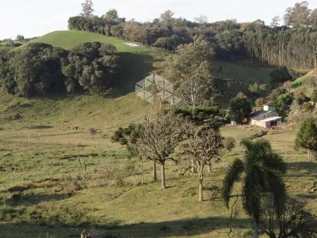 Sítio / Chácara para Venda em Carlos Barbosa/RS Desvio Machado