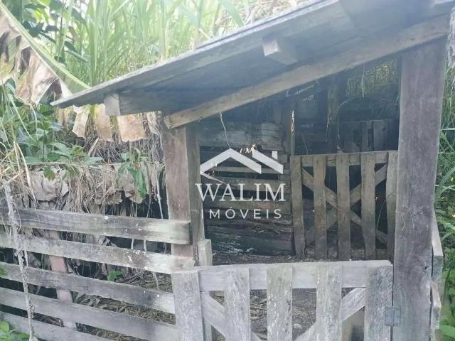 Sítio / Chácara para Venda em Carmo do Cajuru/MG Zona Rural 3 Quartos
