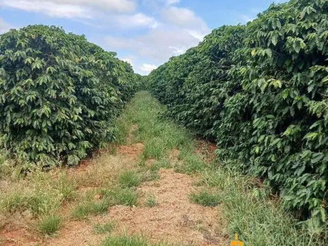 Sítio / Chácara para Venda em Carmo do Paranaíba/MG Zona Rural
