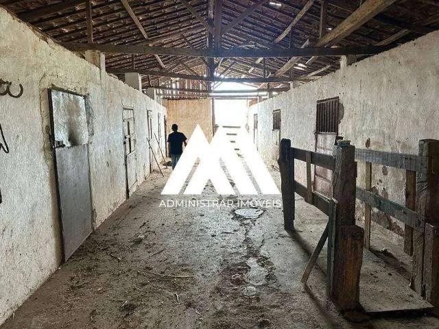 Sítio / Chácara para Venda em Carmópolis de Minas/MG Zona Rural