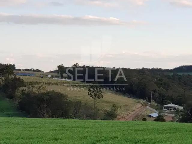 Sítio / Chácara para Venda em Cascavel/PR Zona Rural