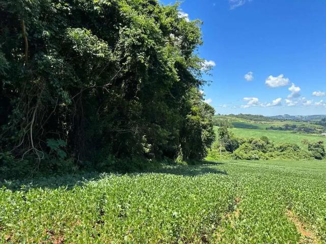 Sítio / Chácara para Venda em Cascavel/PR Rio Do Salto 1 Quartos