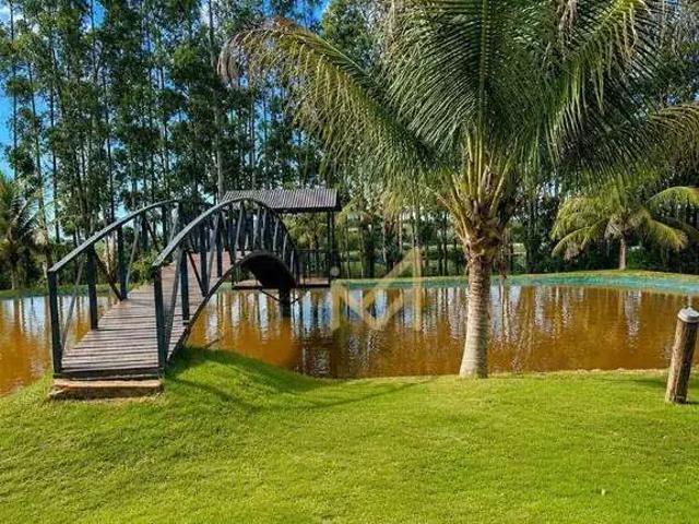 Sítio / Chácara para Venda em Cascavel/PR Sede Alvorada 2 Quartos
