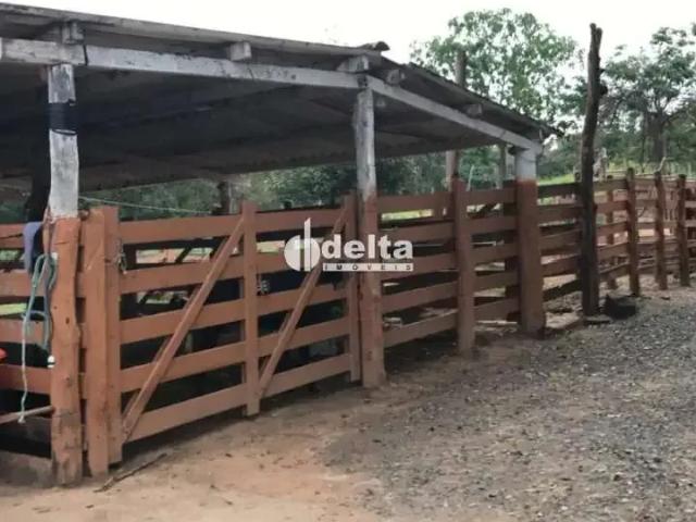 Sítio / Chácara para Venda em Cascalho Rico/MG Zona Rural 3 Quartos