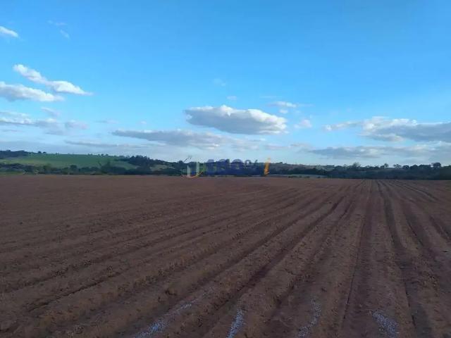 Sítio / Chácara para Venda em Casa Branca/SP Zona Rural 2 Quartos