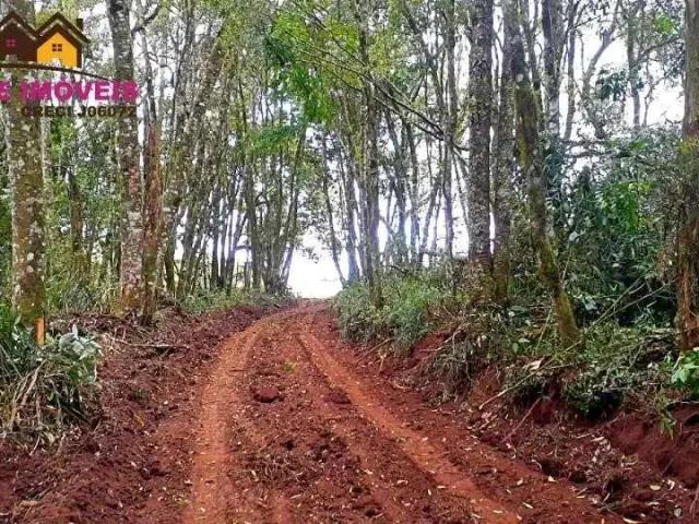 Sítio / Chácara para Venda em Castro/PR Áreal Rural de Castro