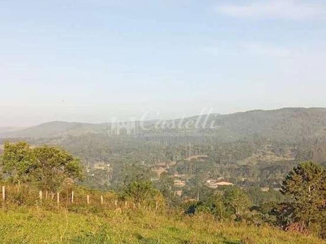 Sítio / Chácara para Venda em Castro/PR Herval Dos Lima