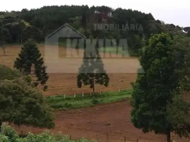 Sítio / Chácara para Venda em Castro/PR Socavão