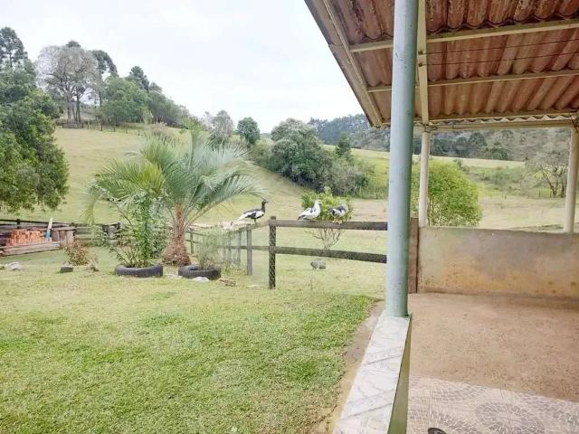 Sítio / Chácara para Venda em Castro/PR Socavão 3 Quartos