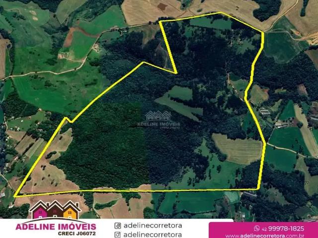 Sítio / Chácara para Venda em Castro/PR Tronco