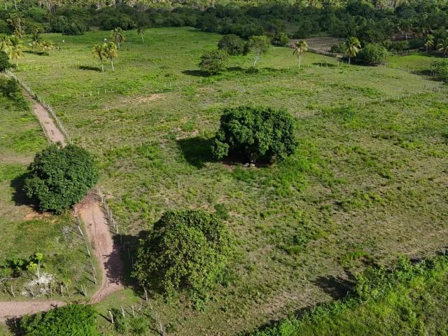 Sítio / Chácara para Venda em Ceará Mirim/RN Zona Rural 10 Quartos