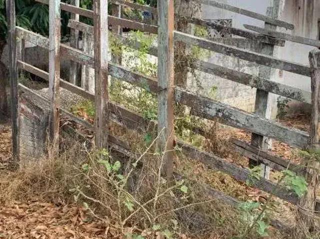 Sítio / Chácara para Venda em Ceará Mirim/RN Centro 2 Quartos