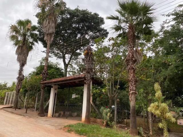 Sítio / Chácara para Venda em Cedral/SP Zona Rural 5 Quartos