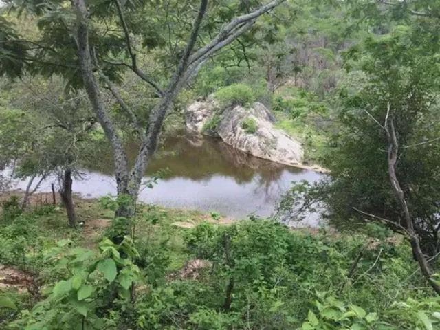 Sítio / Chácara para Venda em Cerro Corá/RN Centro 3 Quartos