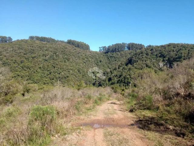 Sítio / Chácara para Venda em Cerro Branco/RS Centro