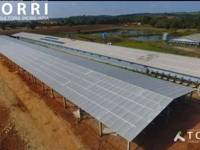 Sítio / Chácara para Venda em Cesário Lange/SP Aleluia 4 Quartos