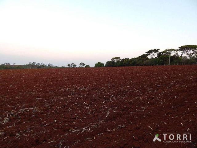 Sítio / Chácara para Venda em Cesário Lange/SP Centro