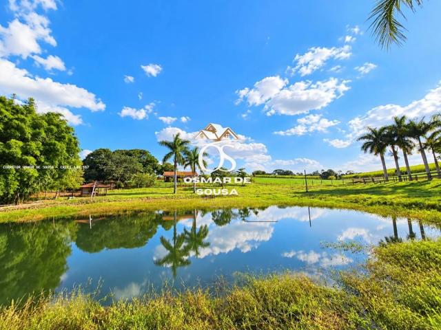 Sítio / Chácara para Venda em Cesário Lange/SP Zona Rural 3 Quartos