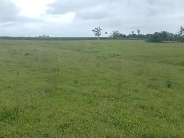Sítio / Chácara para Venda em Cesário Lange/SP Zona Rural 1 Quartos