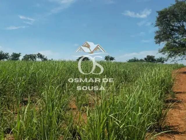Sítio / Chácara para Venda em Cesário Lange/SP Zona Rural 1 Quartos