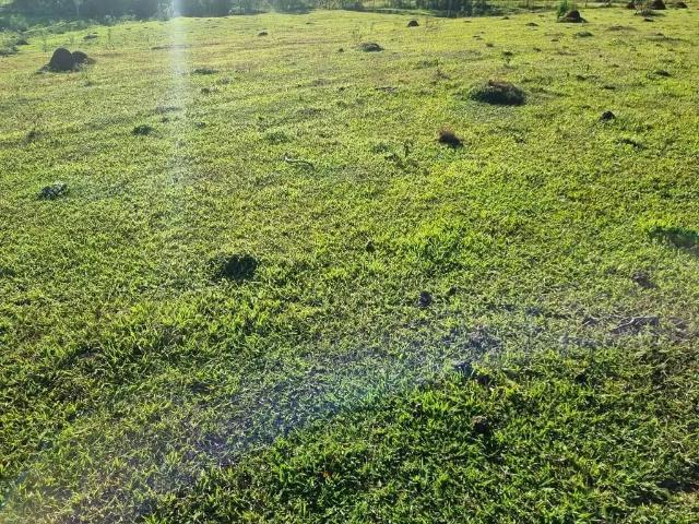 Sítio / Chácara para Venda em Cesário Lange/SP Zona Rural 1 Quartos