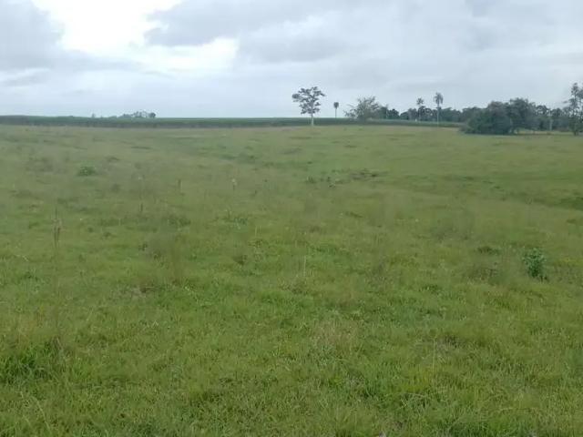 Sítio / Chácara para Venda em Cesário Lange/SP Zona Rural 1 Quartos